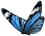 Blue and white butterfly